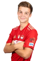 Paul Babic